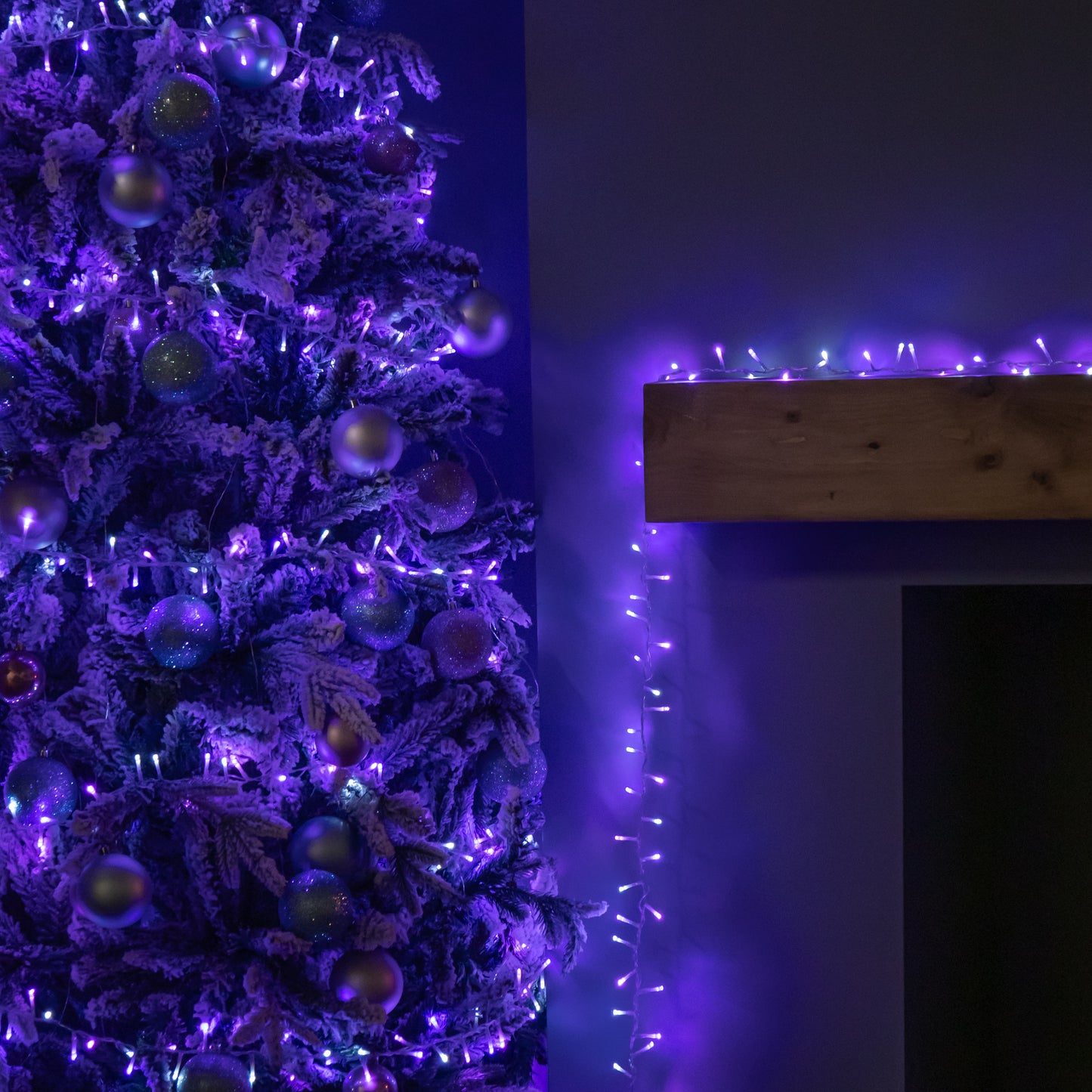 25m 1000 LED TreeBrights Christmas String Lights on Clear Cable with Timer in Blue, Purple & White