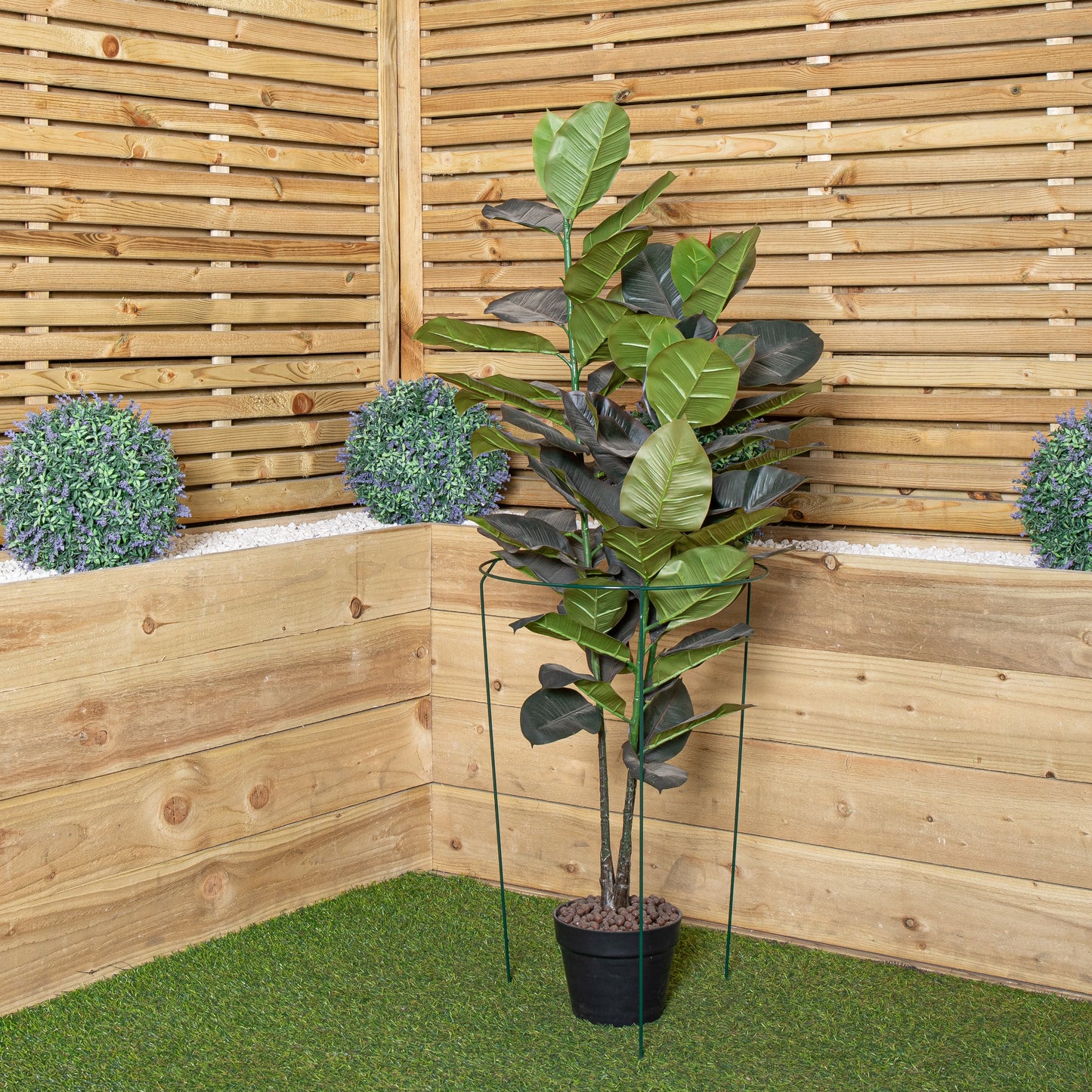 Tom Chambers Urban Metal Herbaceous Garden Plant Support Ring Large 40cm x 60cm