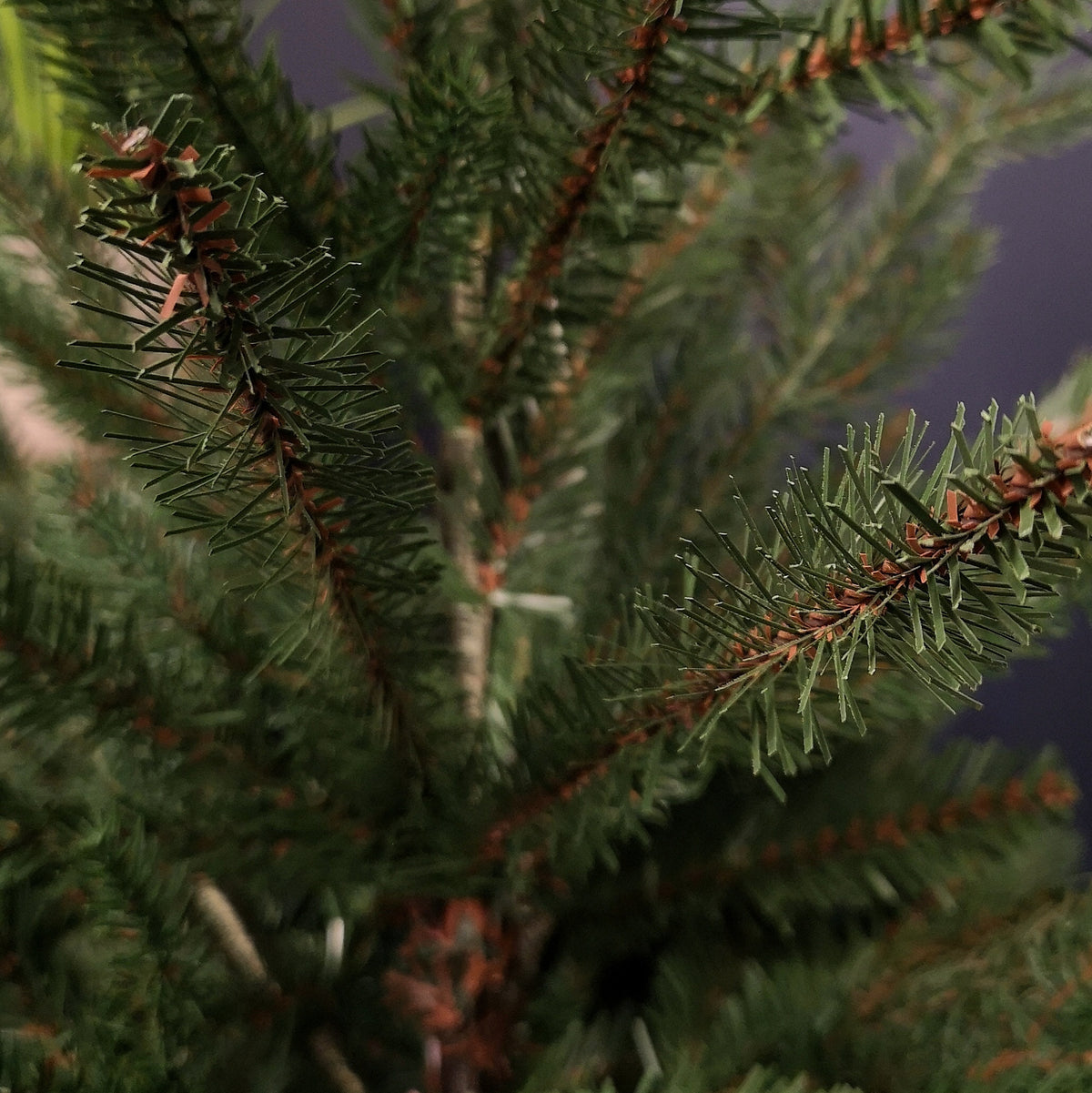 3ft (90cm) Premier Potted Green PE PVC Glenshee Spruce Christmas Tree 537 Tips
