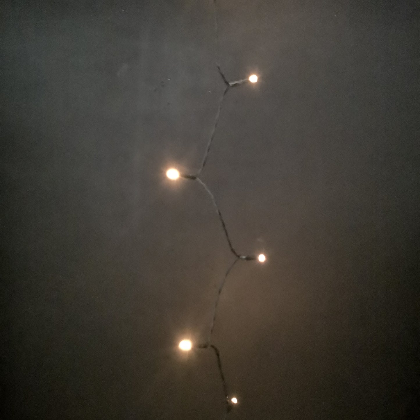 24 LED 2.3m Premier Christmas Indoor Outdoor Multi Function Battery Operated String Lights with Timer in Vintage Gold