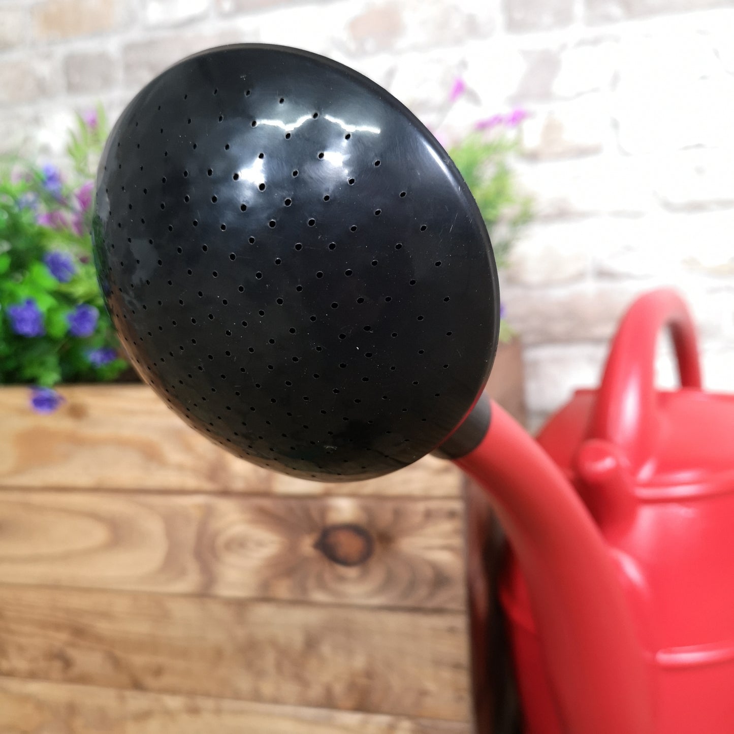 10L Ward Garden Watering Can with Rose - Red