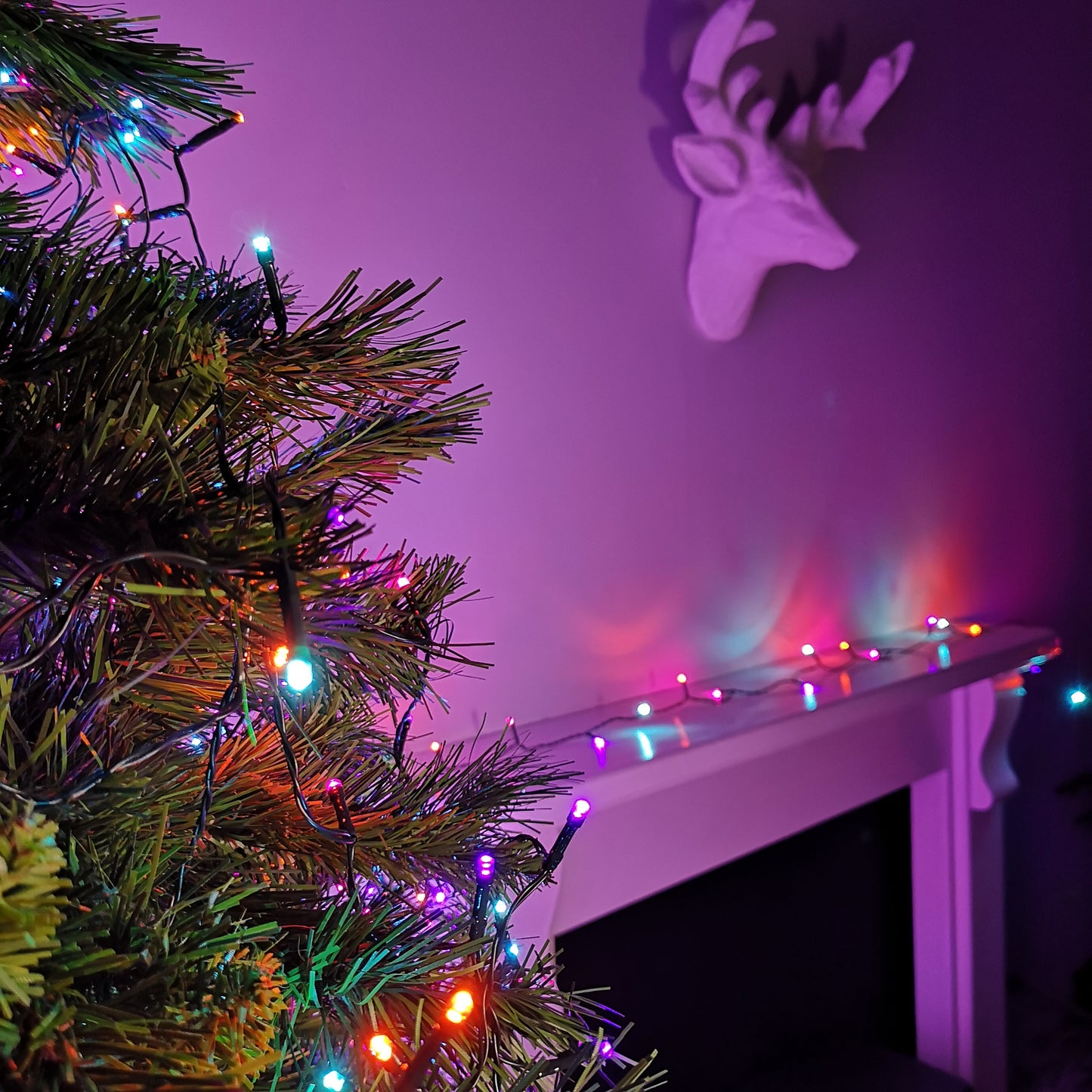 24 LED 2.3m Premier Christmas Indoor Outdoor Multi Function Battery Operated String Lights with Timer in Rainbow