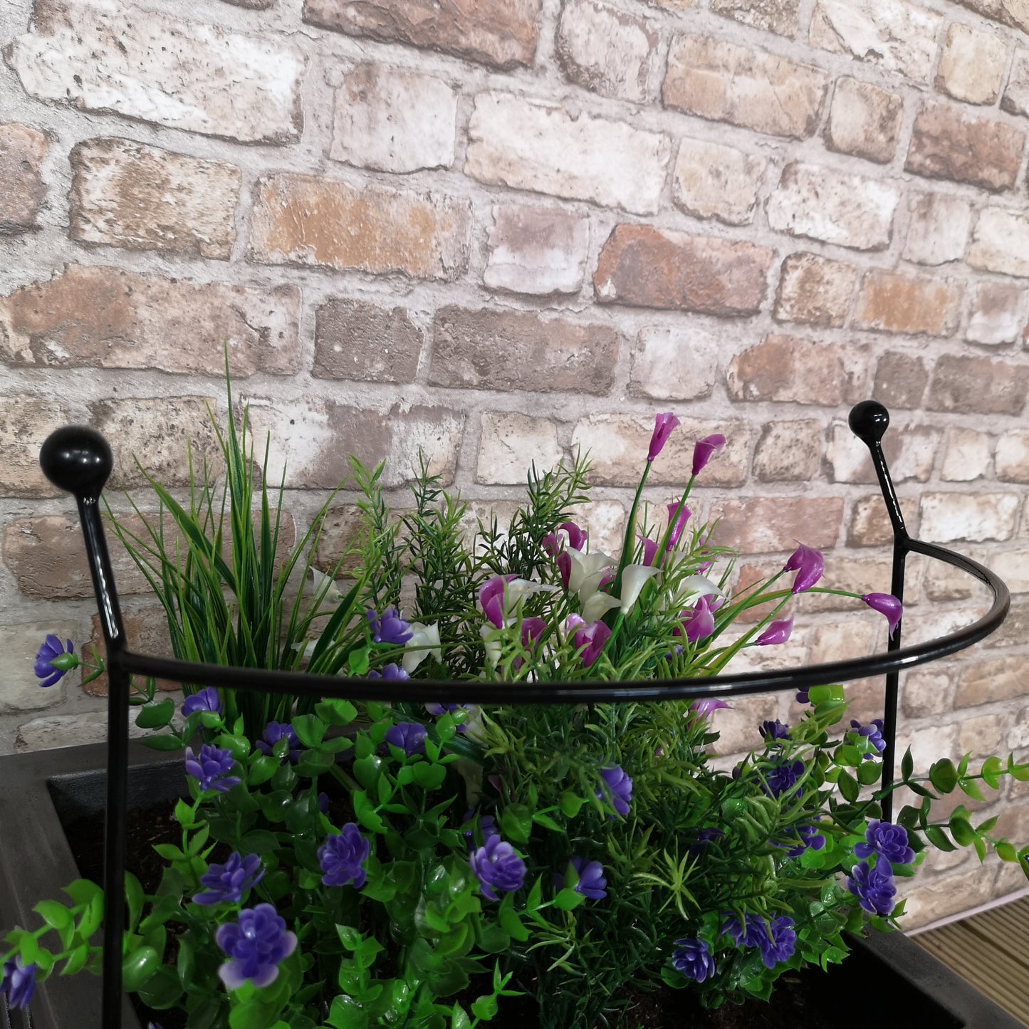 Tom Chambers Cottage Heavy Duty Black Metal Steel Herbaceous Garden Plant Support Arc Small 60cm x 36cm