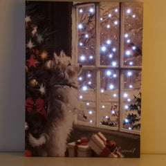 Snowtime Christmas 40cm x 30cm Festive Dog & Robin Fibre Optic Wall Canvas