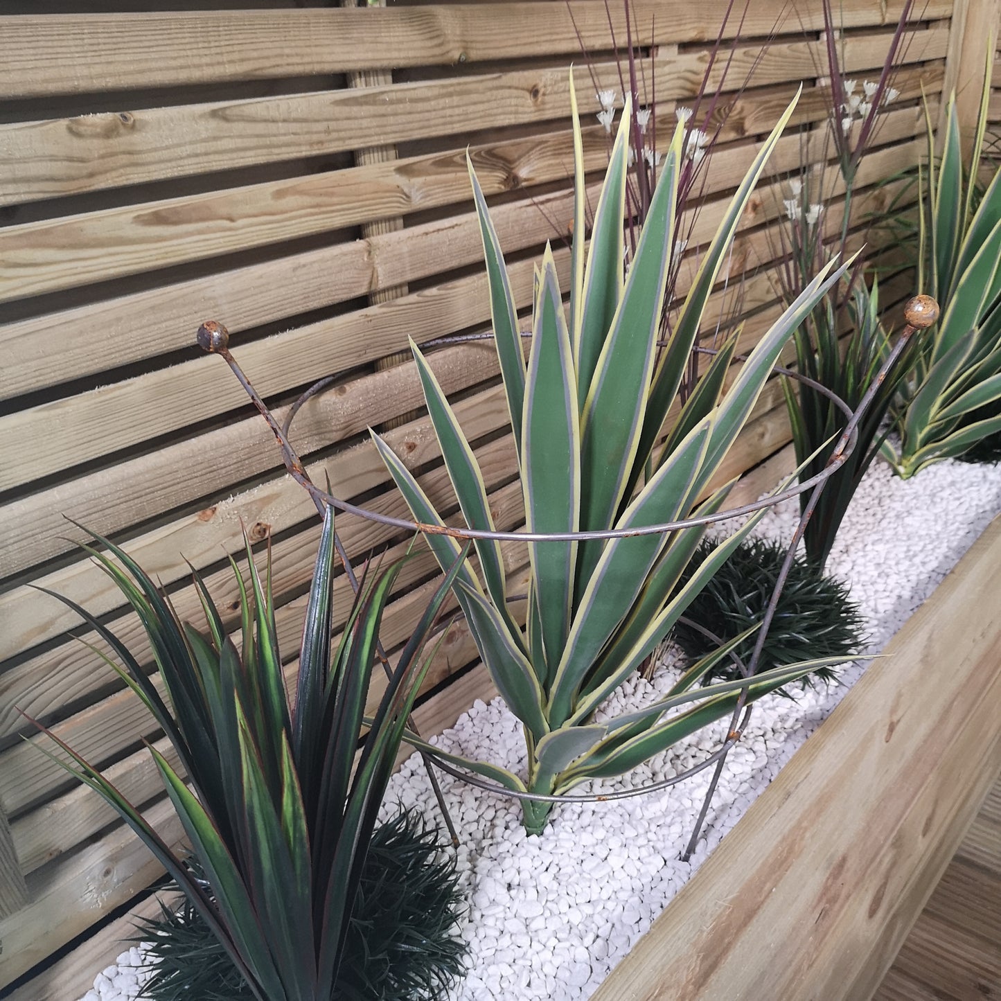 Pack of 4 Tom Chambers Herbaceous Bare Rusted Steel Garden Plant Support Medium 54cm x 40cm