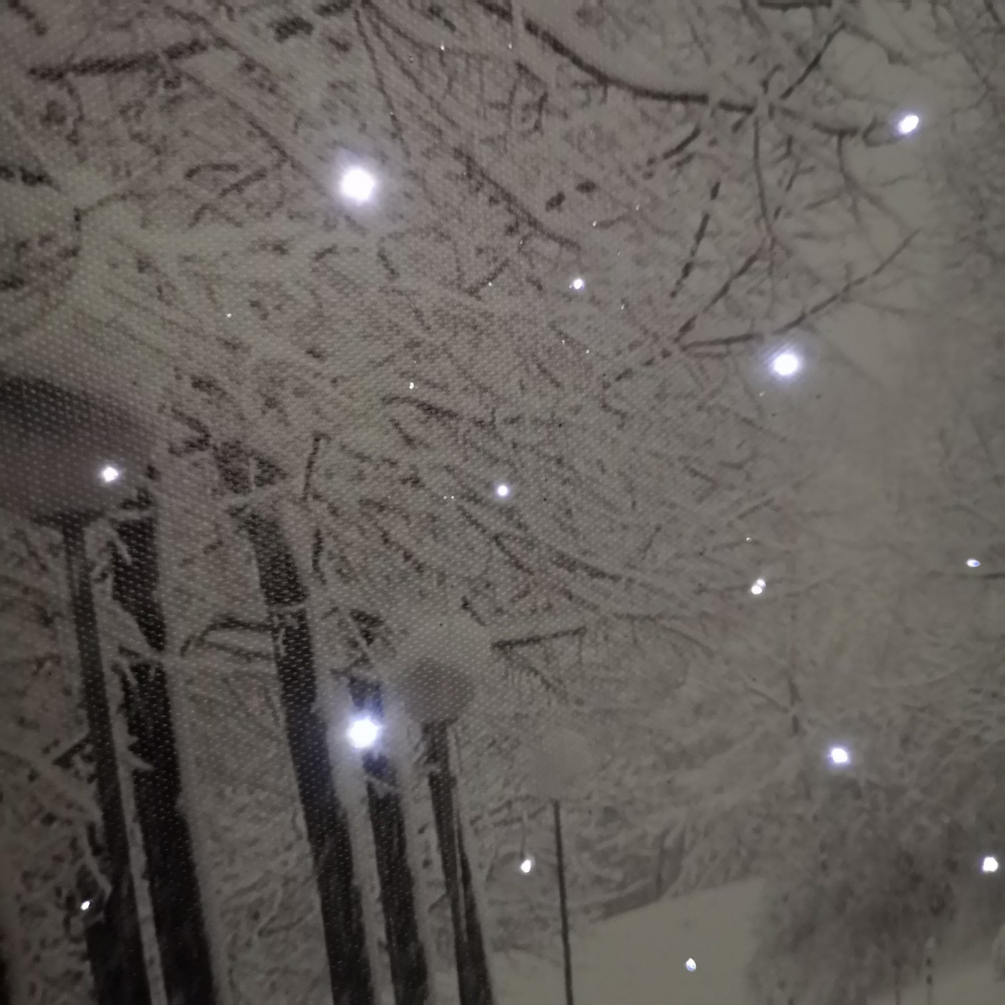 40 x 30cm Touch Operated Christmas Winter Avenue Fibre Optic Light Up Wall Canvas