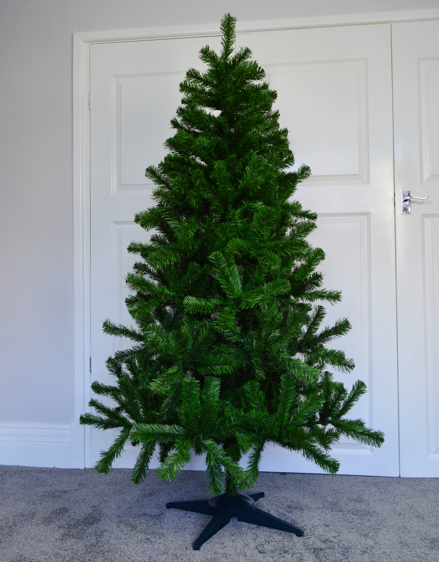 4ft, 5ft, 6ft, 7ft, or 8ft Colorado Spruce Christmas Tree in Green