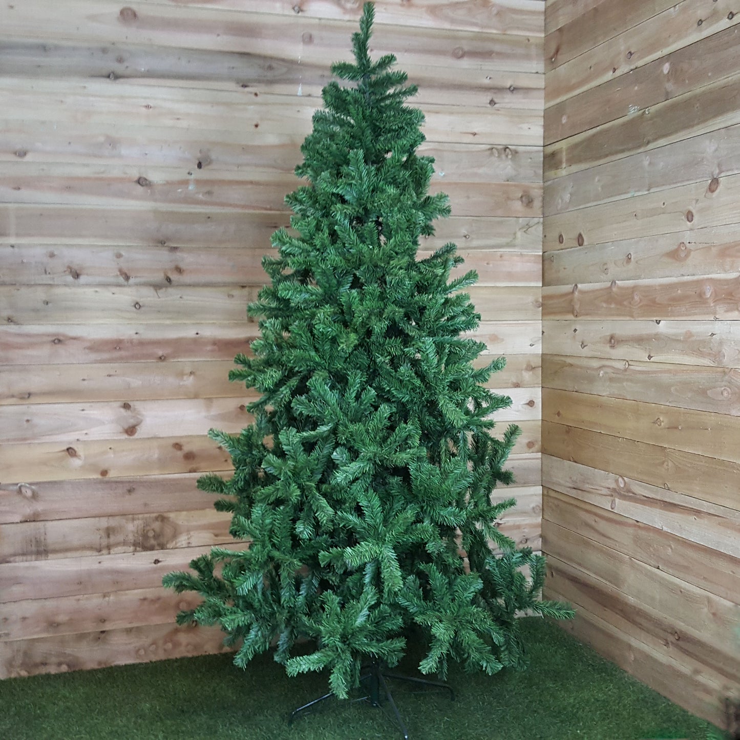 4ft, 5ft, 6ft, 7ft, or 8ft Colorado Spruce Christmas Tree in Green