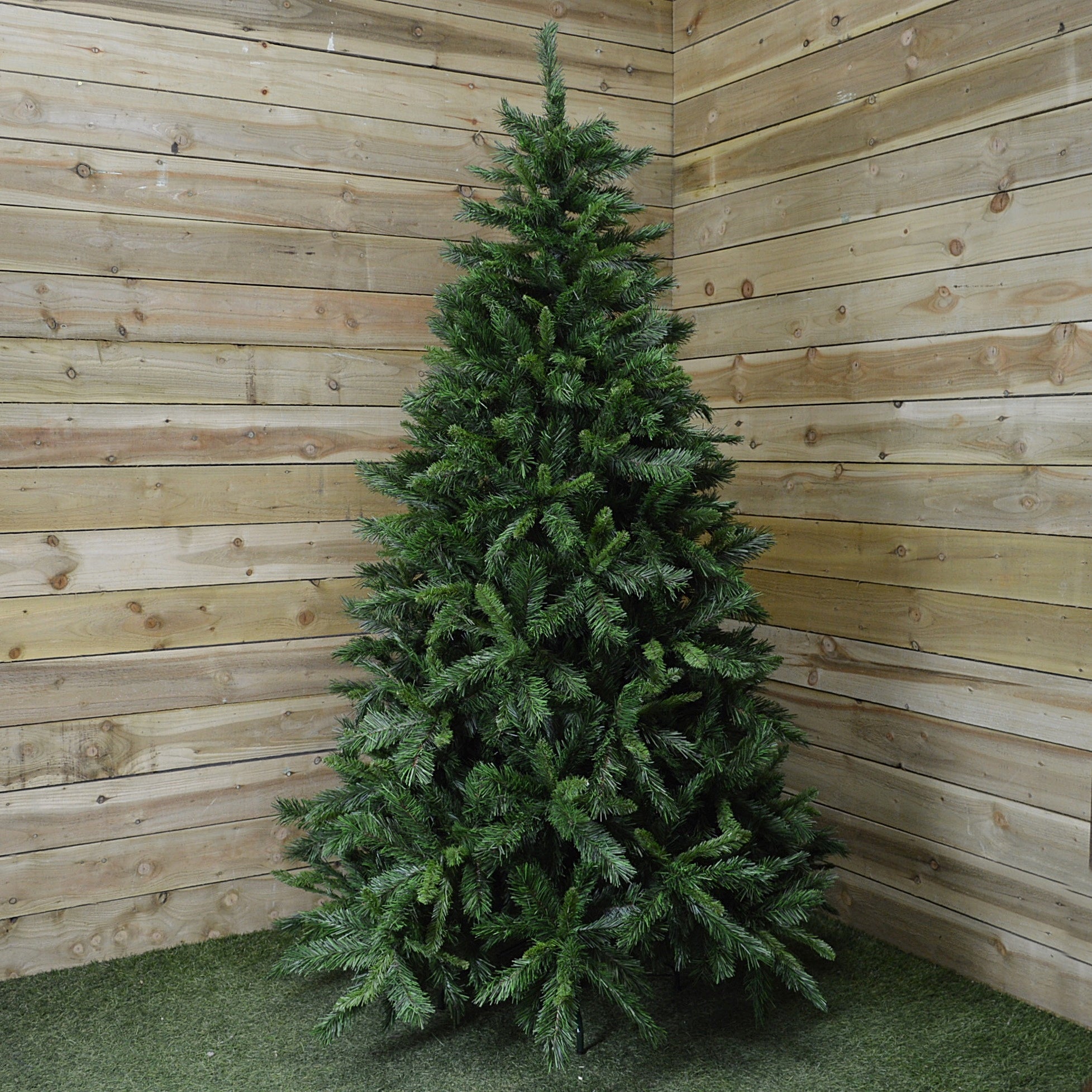 6ft 7ft or 7.5ft Snowtime Luxury Kateson Fir Christmas Tree