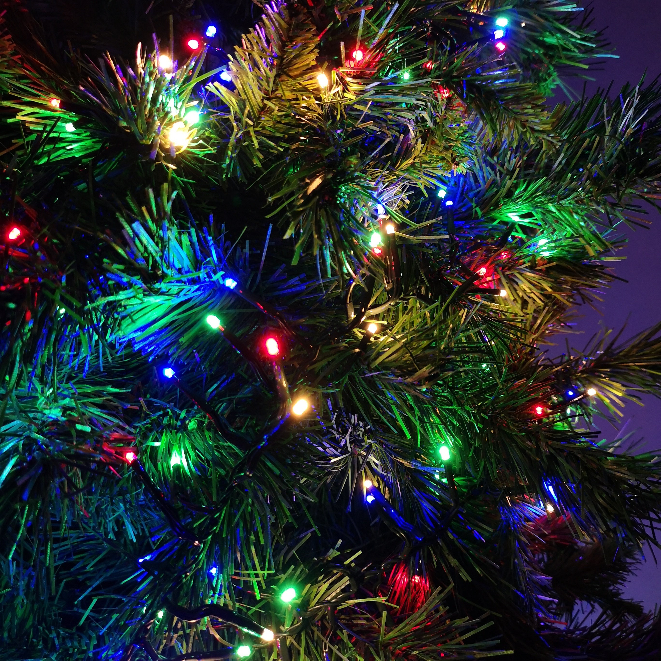 720 LED 9.3m Premier Christmas Outdoor Cluster Timer Lights in Multicoloured