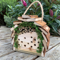 Tom Chambers Garden Wooden Bug House Wild Insect Hanging Habitat with Natural Moss
