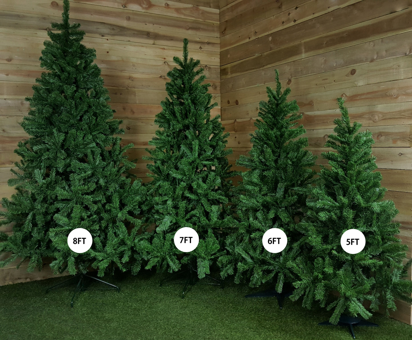 4ft, 5ft, 6ft, 7ft, or 8ft Colorado Spruce Christmas Tree in Green