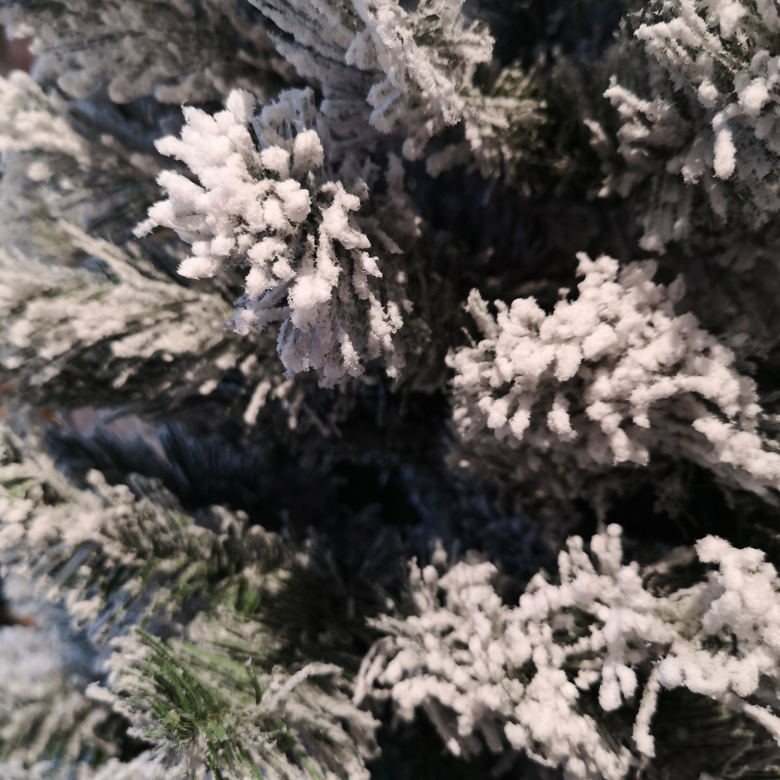 Kaemingk 6ft (180cm) Snow Flocked Imperial Pine Hinged Christmas Trees