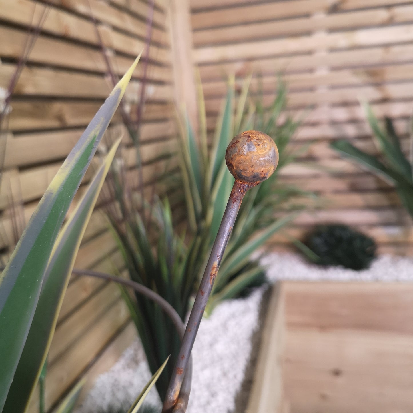 Pack of 4 Tom Chambers Herbaceous Bare Rusted Steel Garden Plant Support Medium 54cm x 40cm