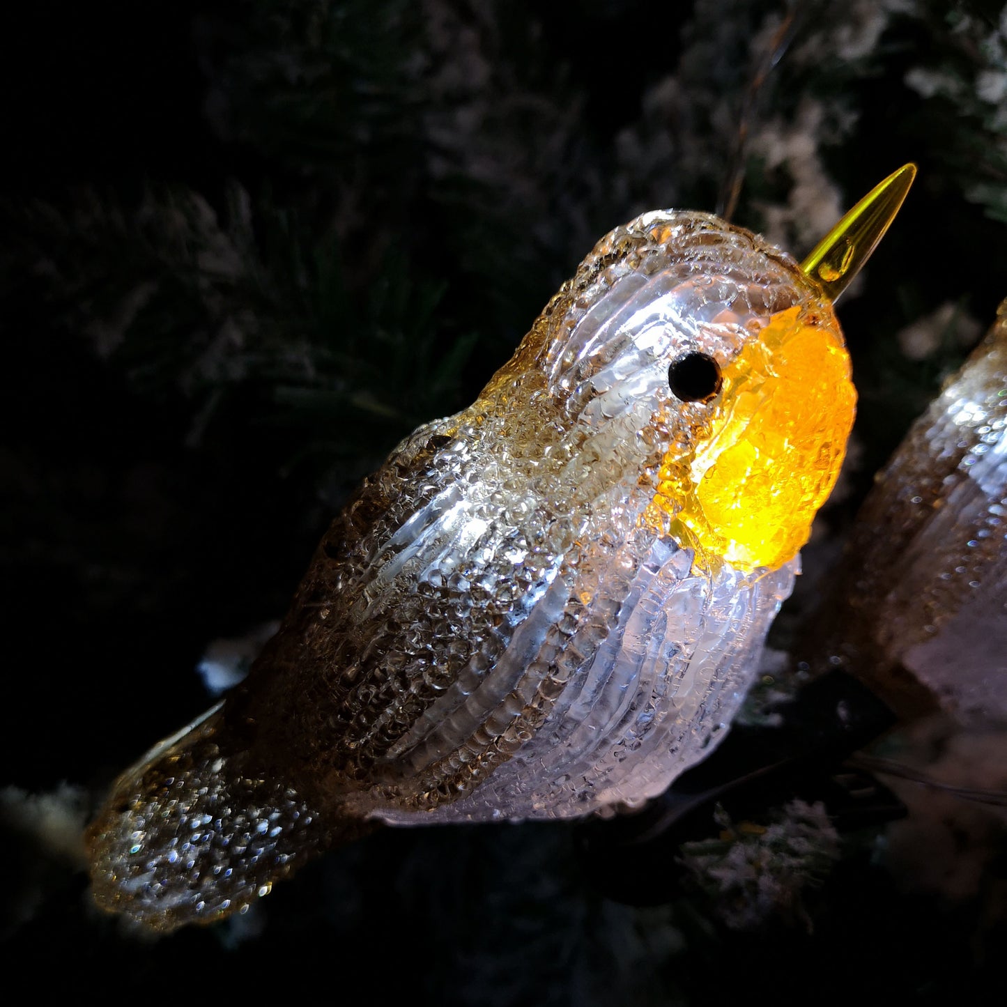 5 Acrylic Indoor Outdoor Robin Christmas Lights with 30 Ice White LEDs