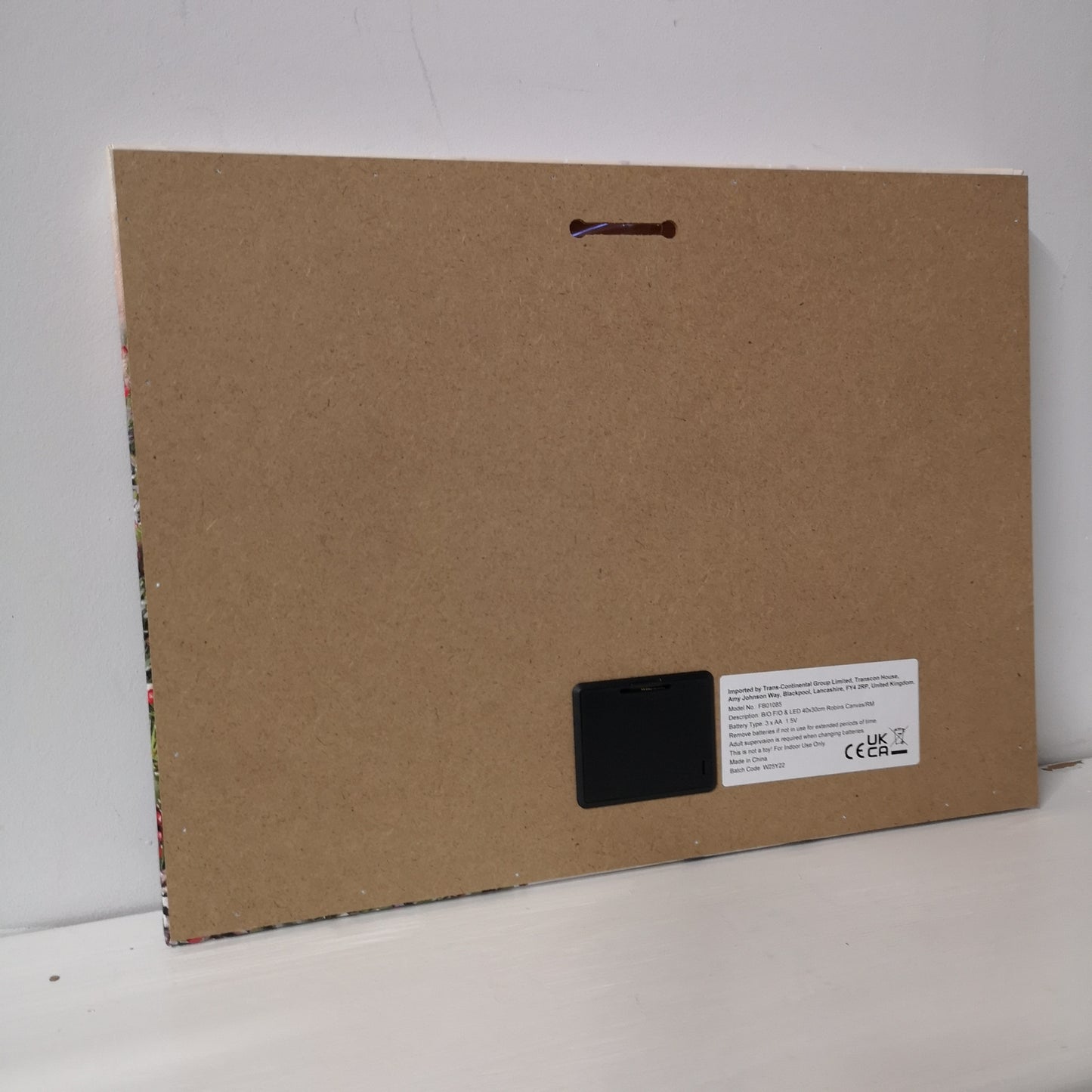 H30cm x 40cm Christmas Scene With Robins Wall Art Canvas