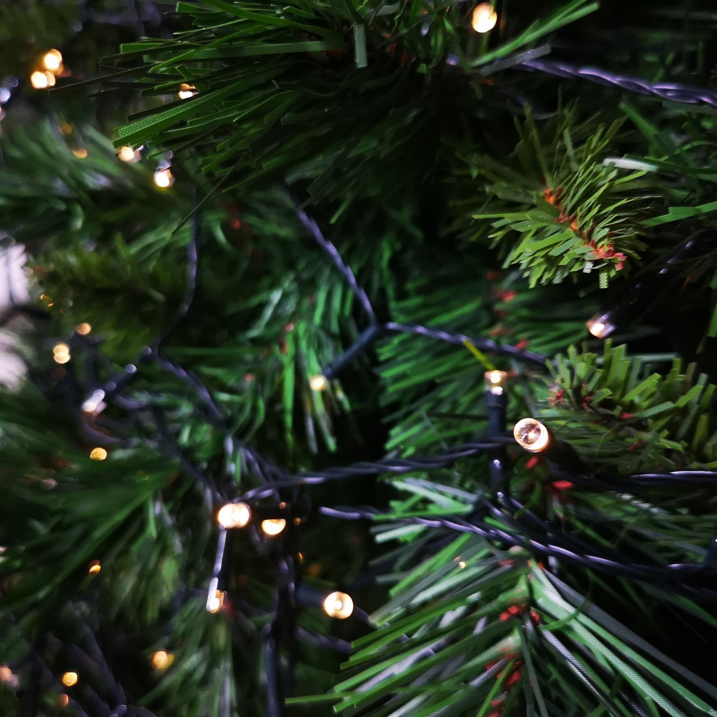 50 LED 5m Premier Christmas Indoor Outdoor Multi Function Battery Operated String Lights with Timer in Warm White