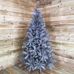 7ft (210cm) Colorado Grey Spruce Christmas Tree