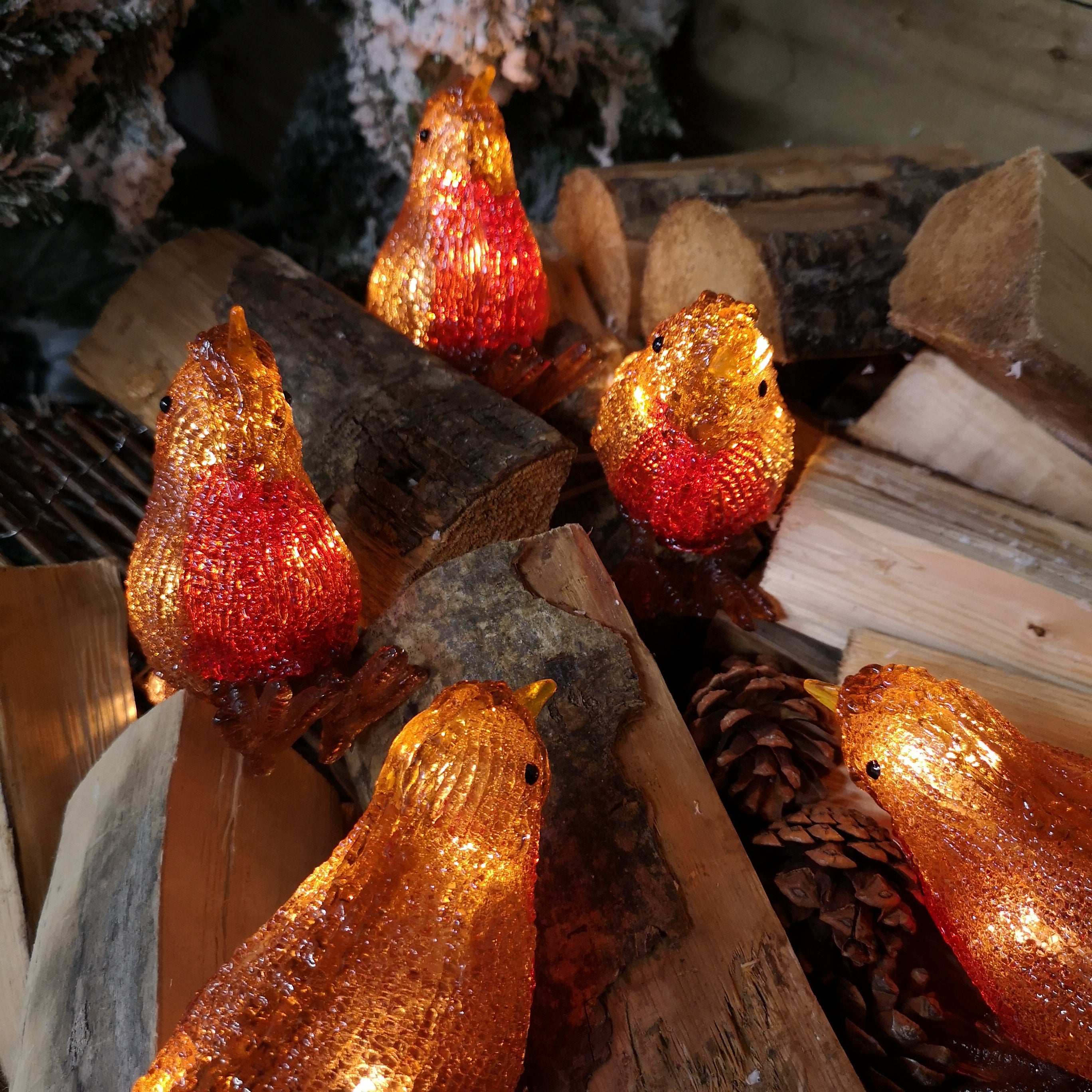 16cm Set of 5 Premier Christmas Outdoor Acrylic Robins with 30 Warm White LEDs