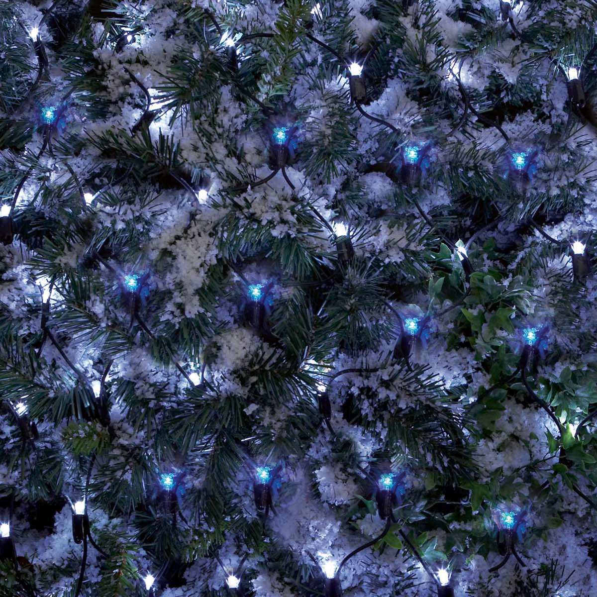Premier 3.5m x 1.2m 360 LED Multi Action Christmas Net Window Light Blue & White