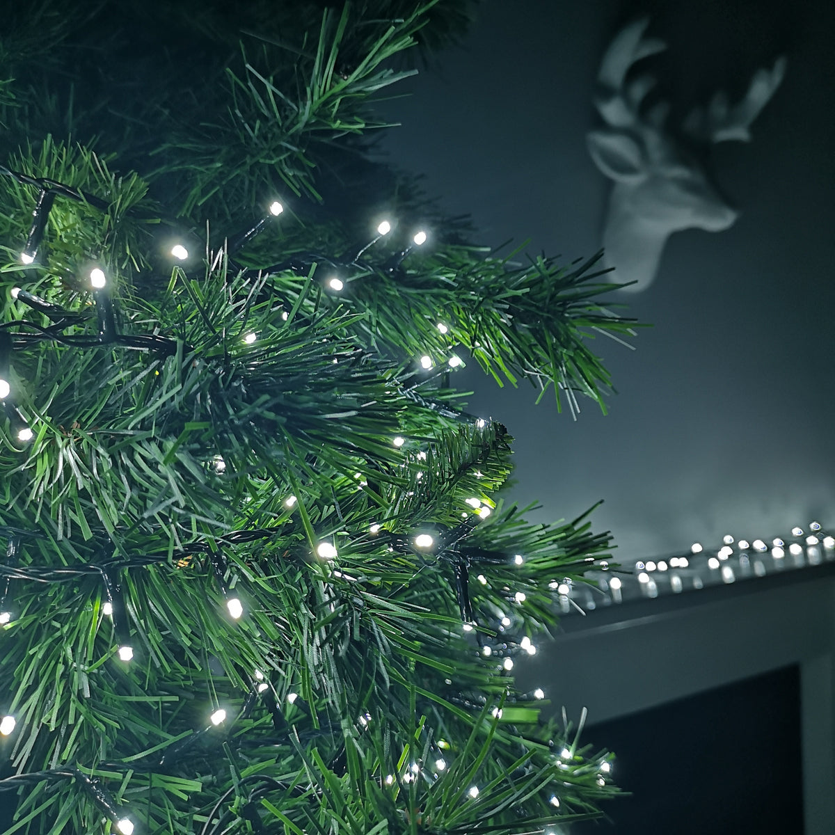 500 LED 12.5m Premier TreeBrights Indoor Outdoor Christmas Multi Function Mains Operated String Lights with Timer in Cool White