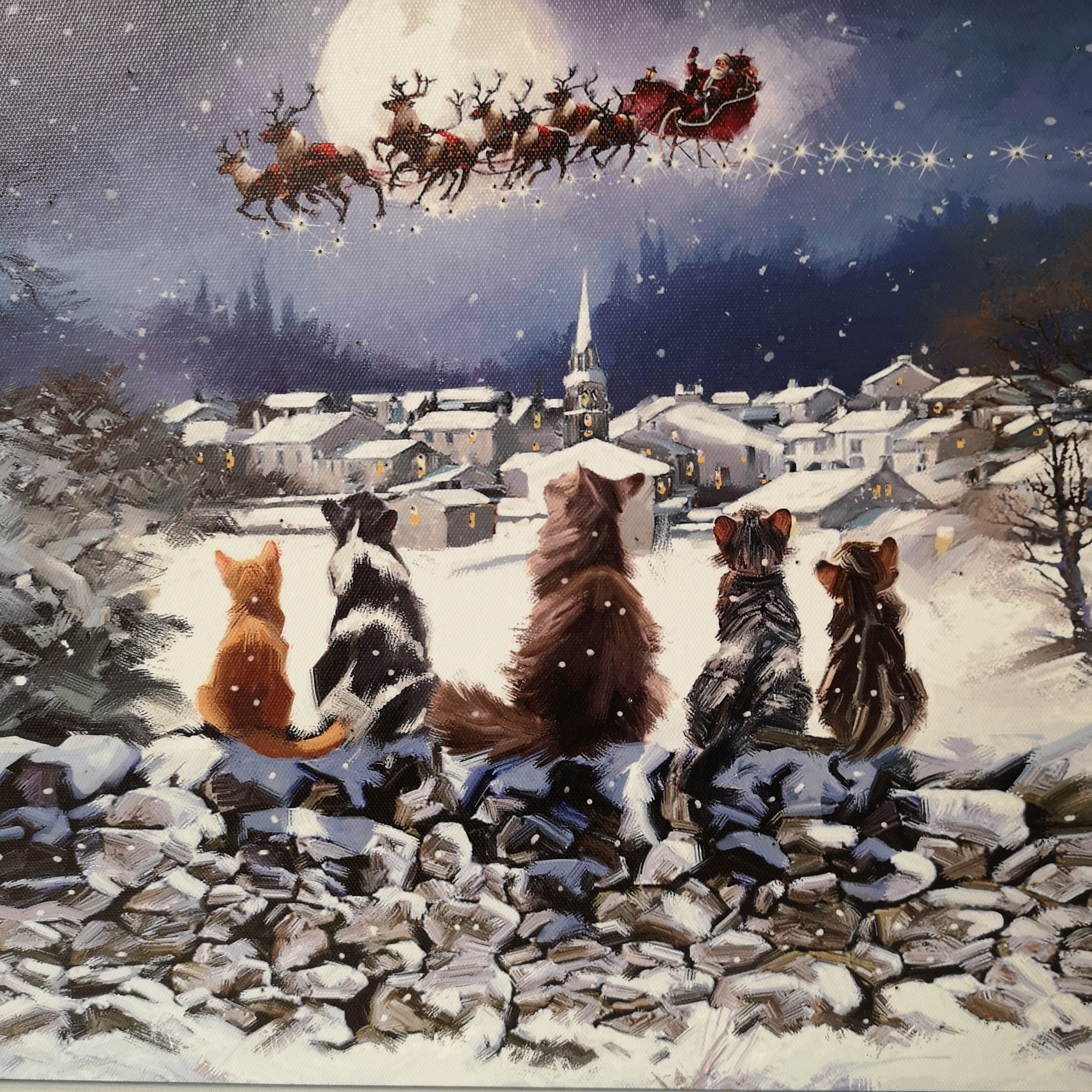 40cm x 30cm Snowtime Touch Operated Cats Christmas Fibre Optic Wall Canvas