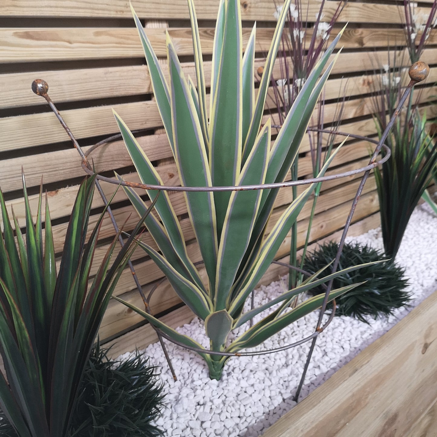 Pack of 4 Tom Chambers Herbaceous Bare Rusted Steel Garden Plant Support Medium 54cm x 40cm