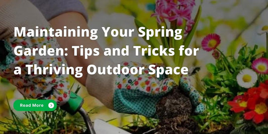 How you can maintain a Spring garden - tips and tricks for a blooming UK garden