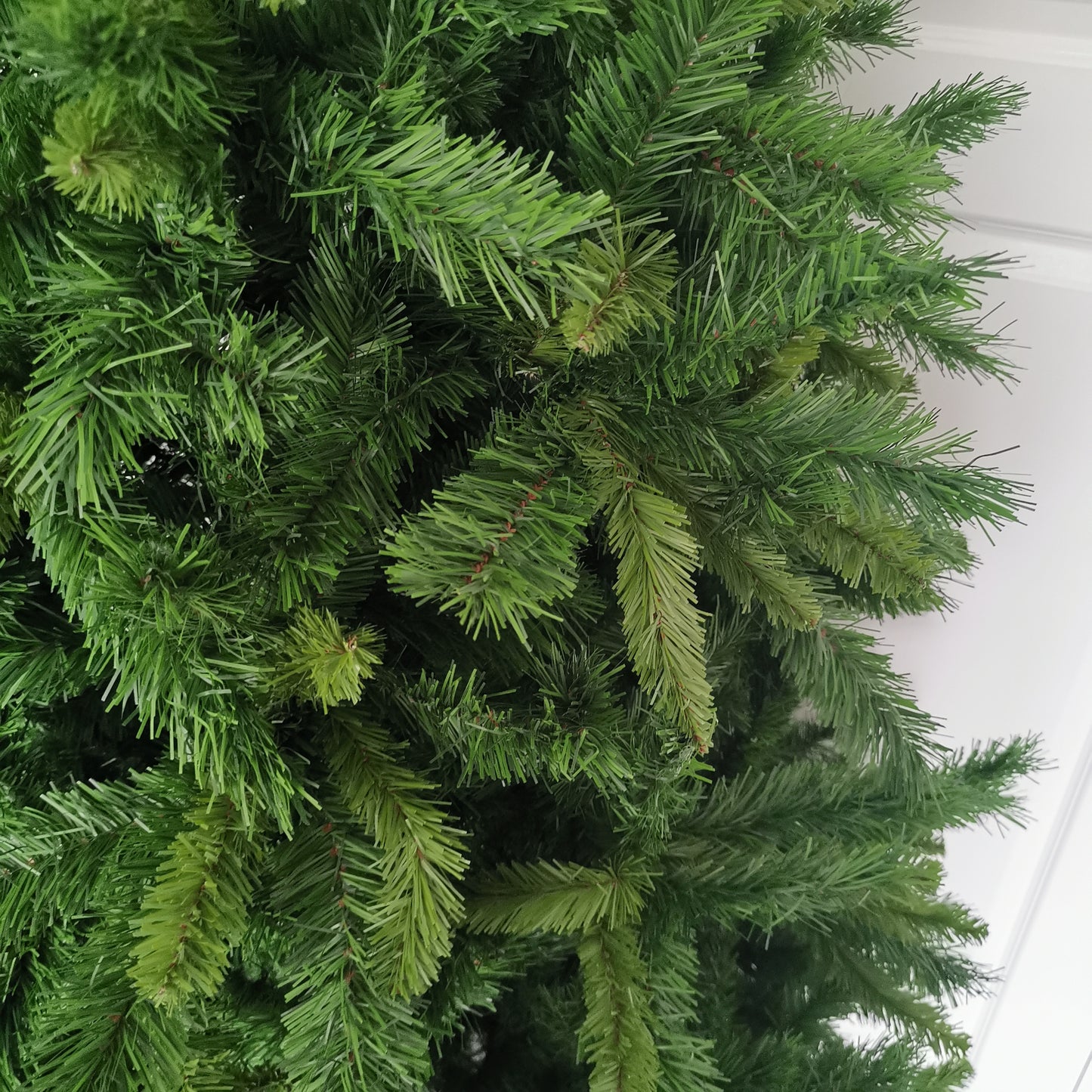 Factory Seconds: 8ft New Duchess Spruce Hinged 1312 Tips Green Christmas Tree