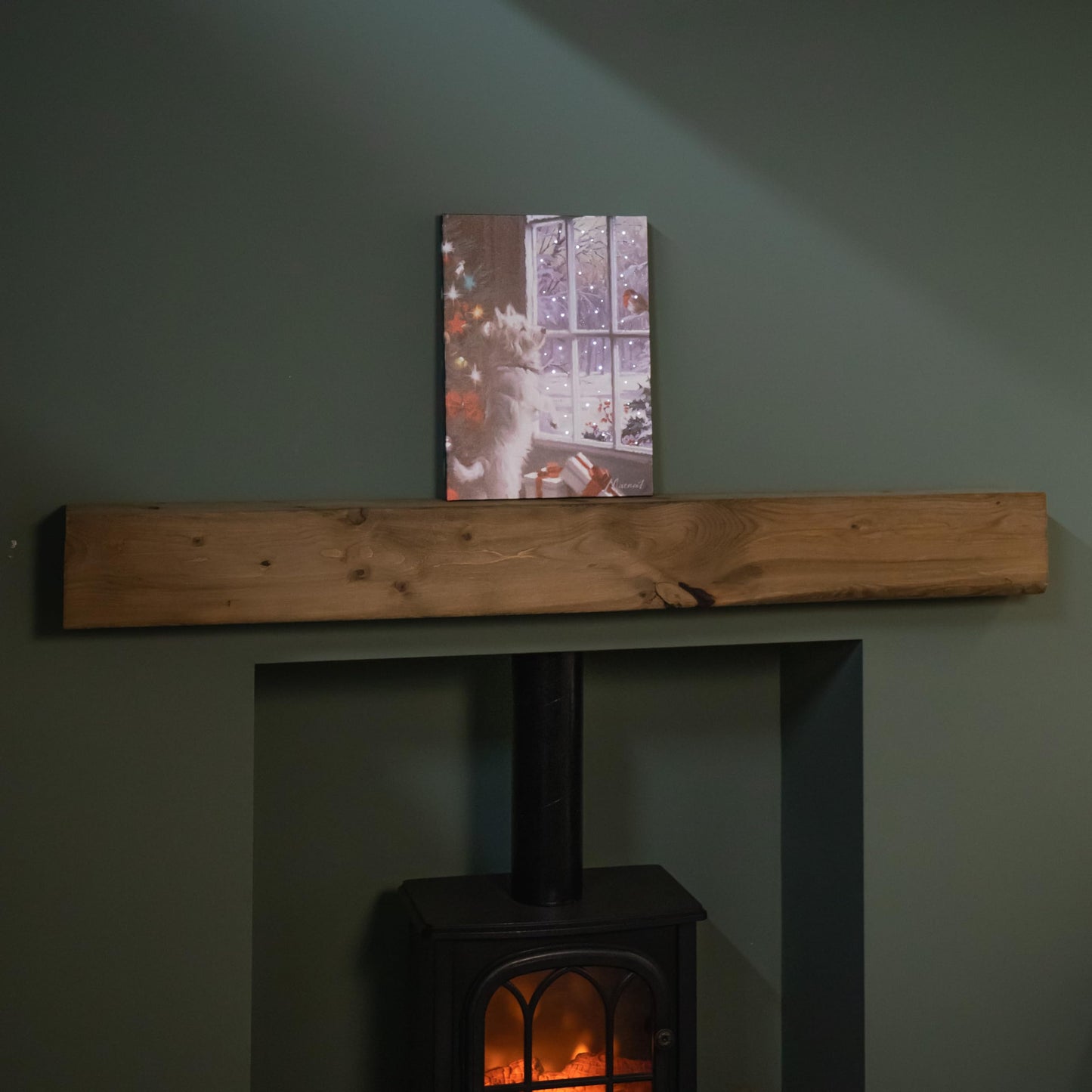 40cm x 30cm Battery Operated Light up Fibre Optic Christmas Dog & Robin Wall Art