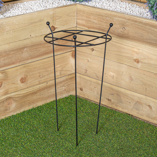 Factory Seconds: Tom Chambers Cottage Heavy Duty Black Metal Steel Herbaceous Garden Plant Support Grow Through Small 60cm x 35cm