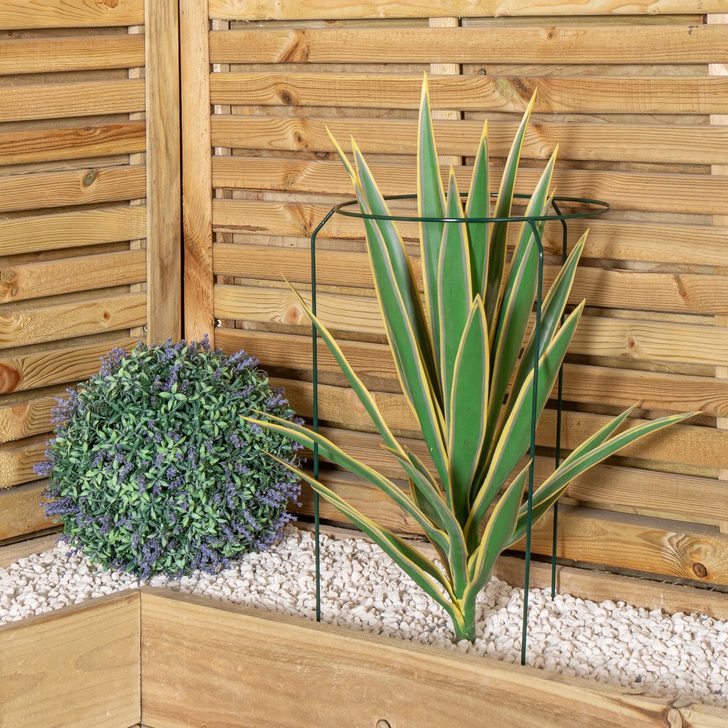 Tom Chambers Urban Metal Herbaceous Garden Plant Support Ring Medium 30cm x 50cm