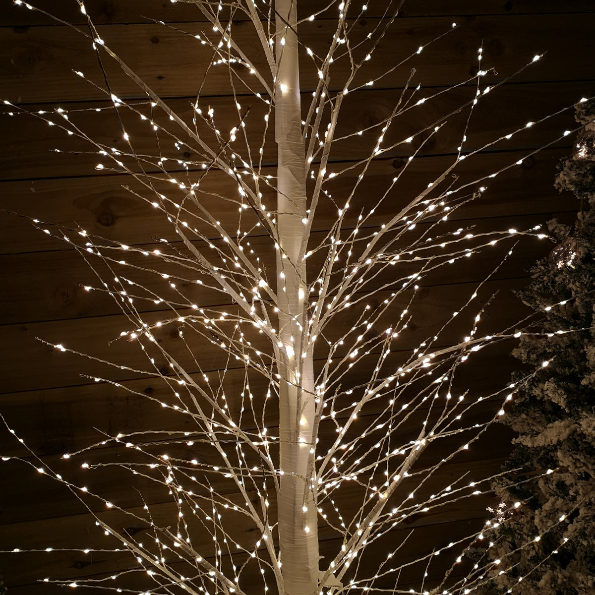 7ft (2.1m) White Modelling Micro Dot Tree with 1,700 Twinkling LEDs in Warm white 
