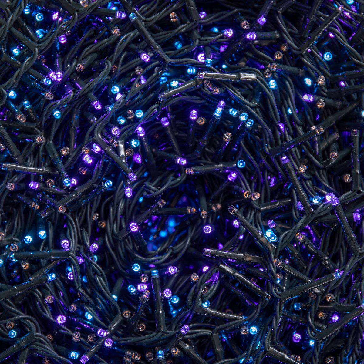 125m Treebrights Christmas Lights with 5000 LEDs in Rainbow with Timer