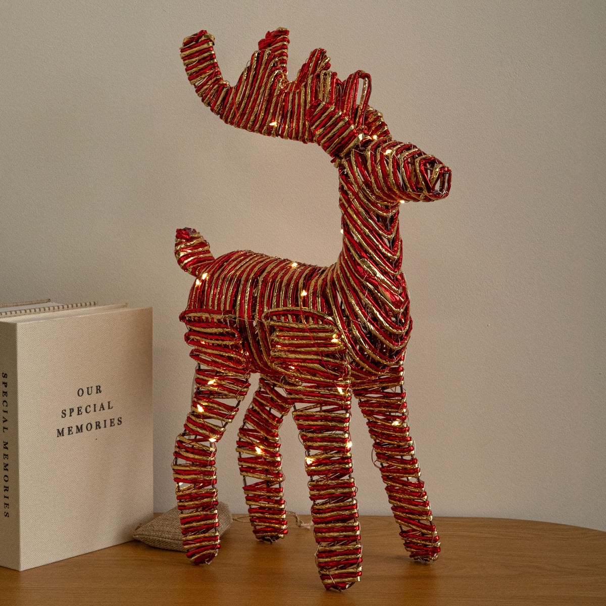 40cm Light Up Christmas Reindeer with 50 Warm White LEDs