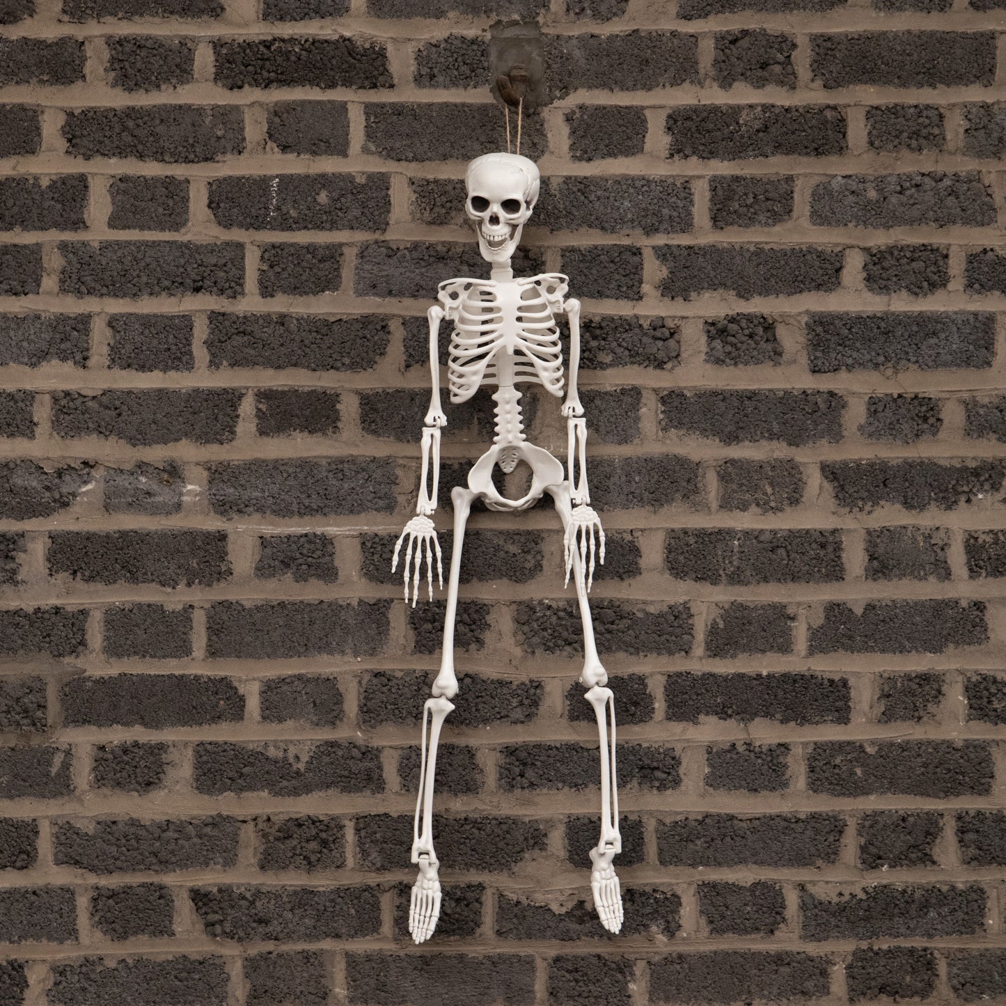 3ft (90cm) Posable Full Body Halloween Skeleton Decoration with Movable Joints