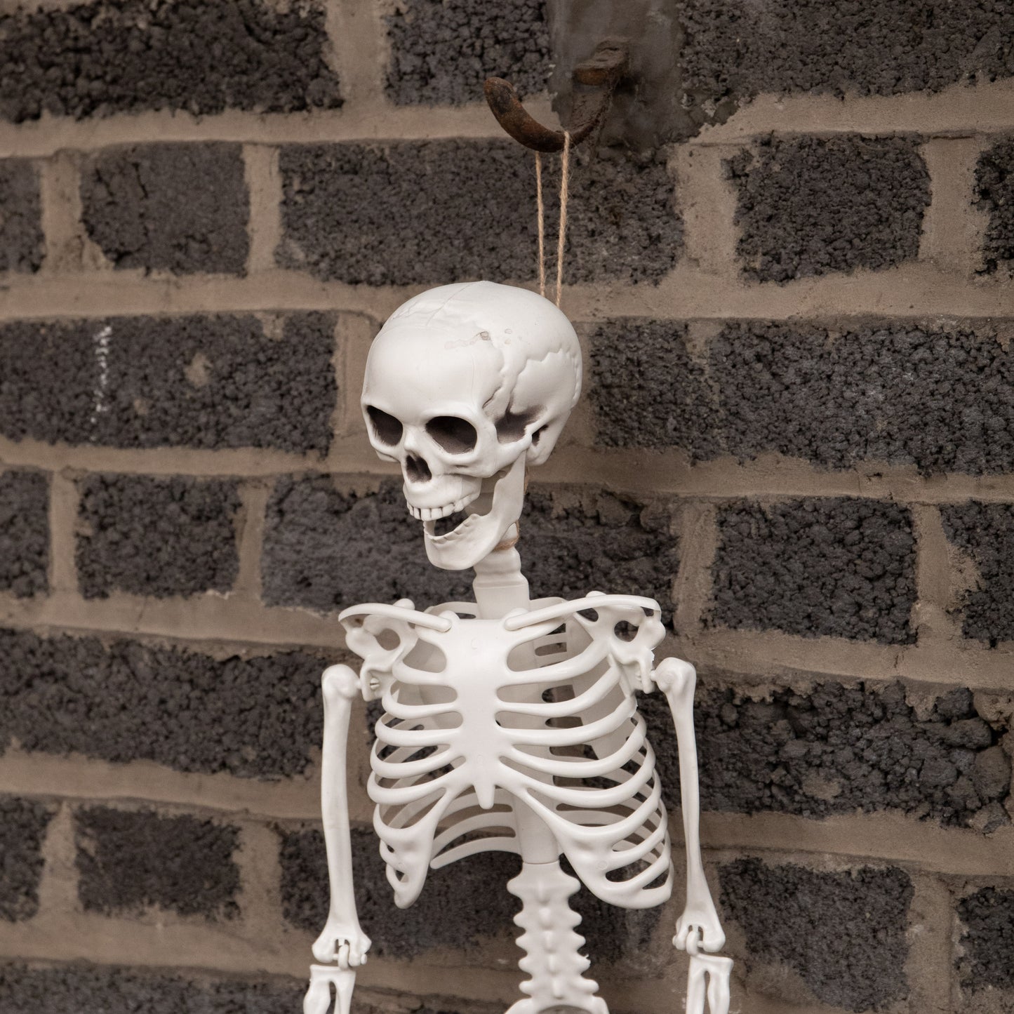 3ft (90cm) Posable Full Body Halloween Skeleton Decoration with Movable Joints