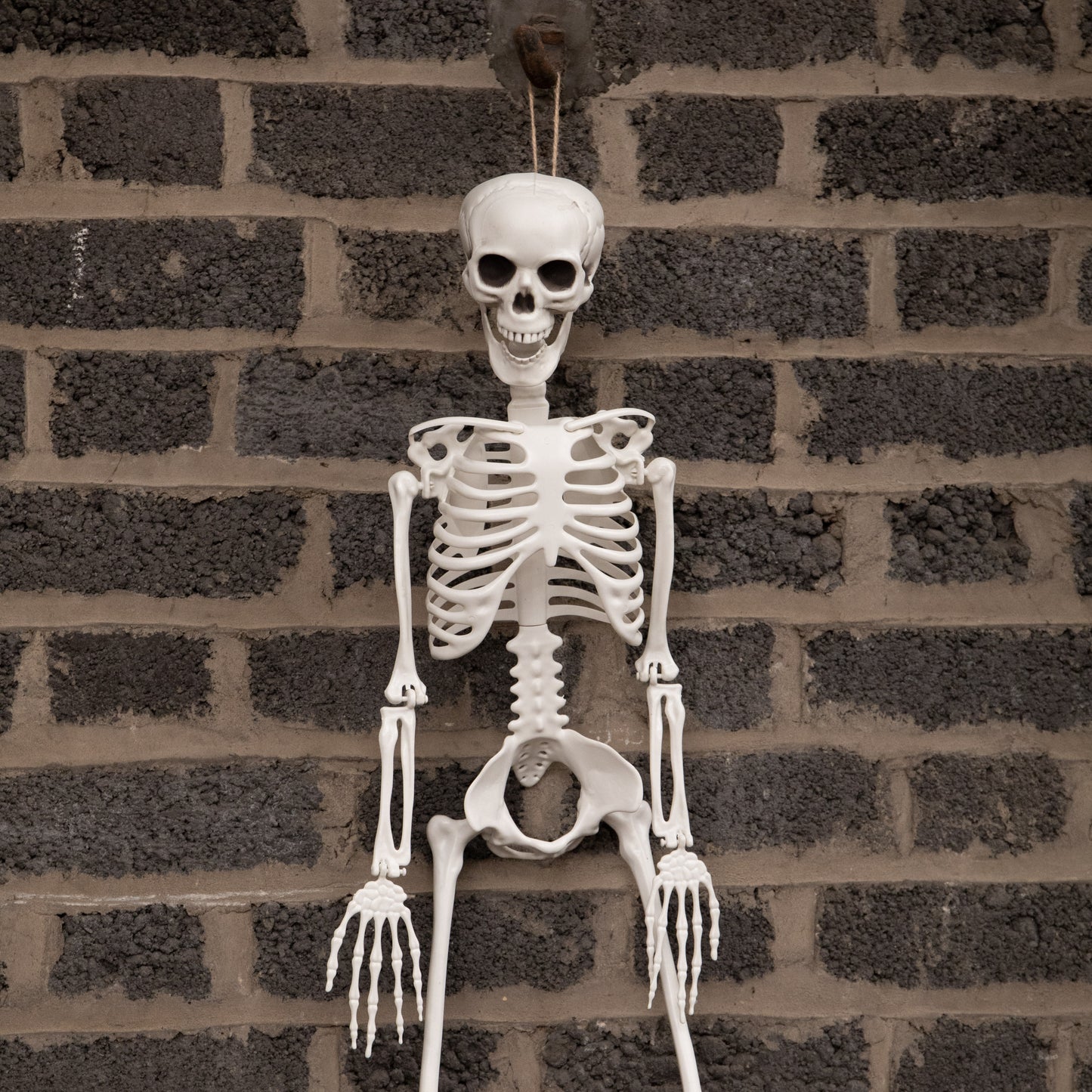3ft (90cm) Posable Full Body Halloween Skeleton Decoration with Movable Joints