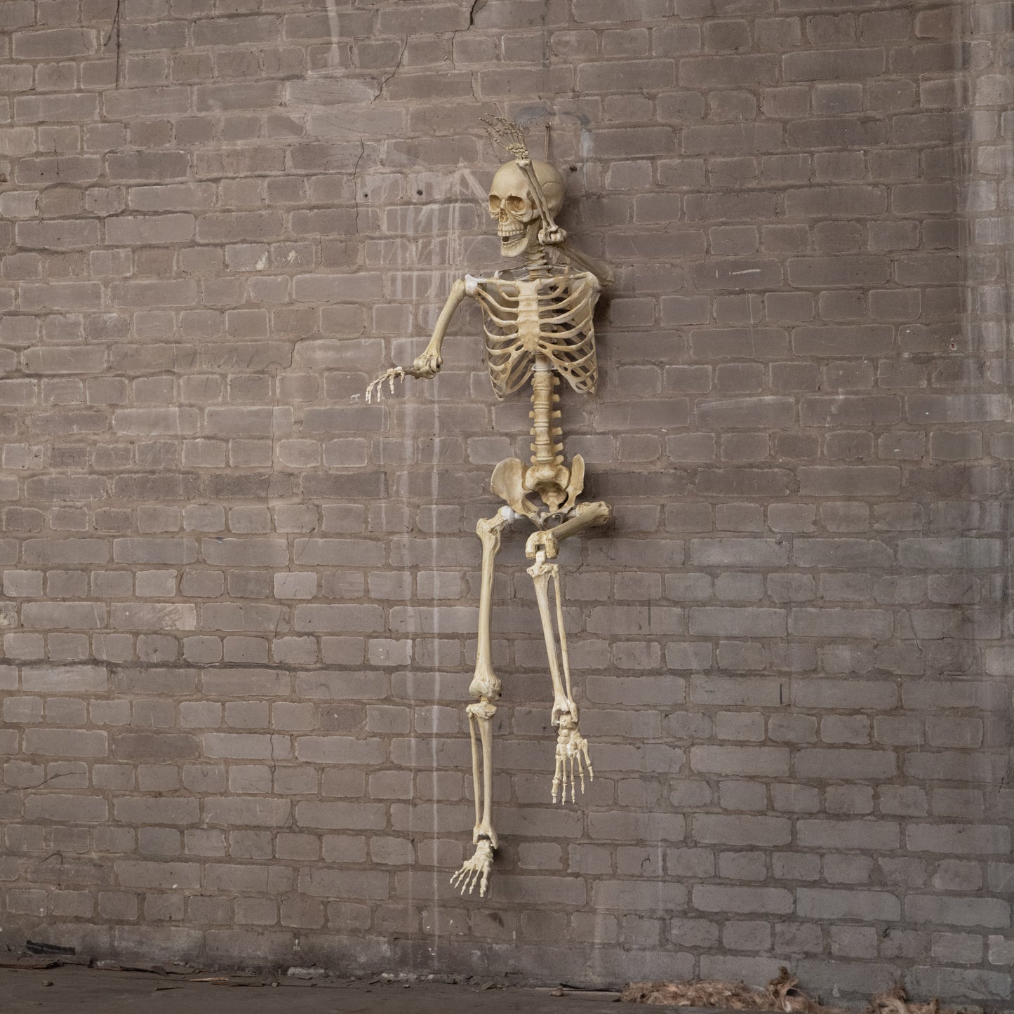 5ft (1.52m) Posable Full Body Halloween Skeleton Decoration with Movable Joints