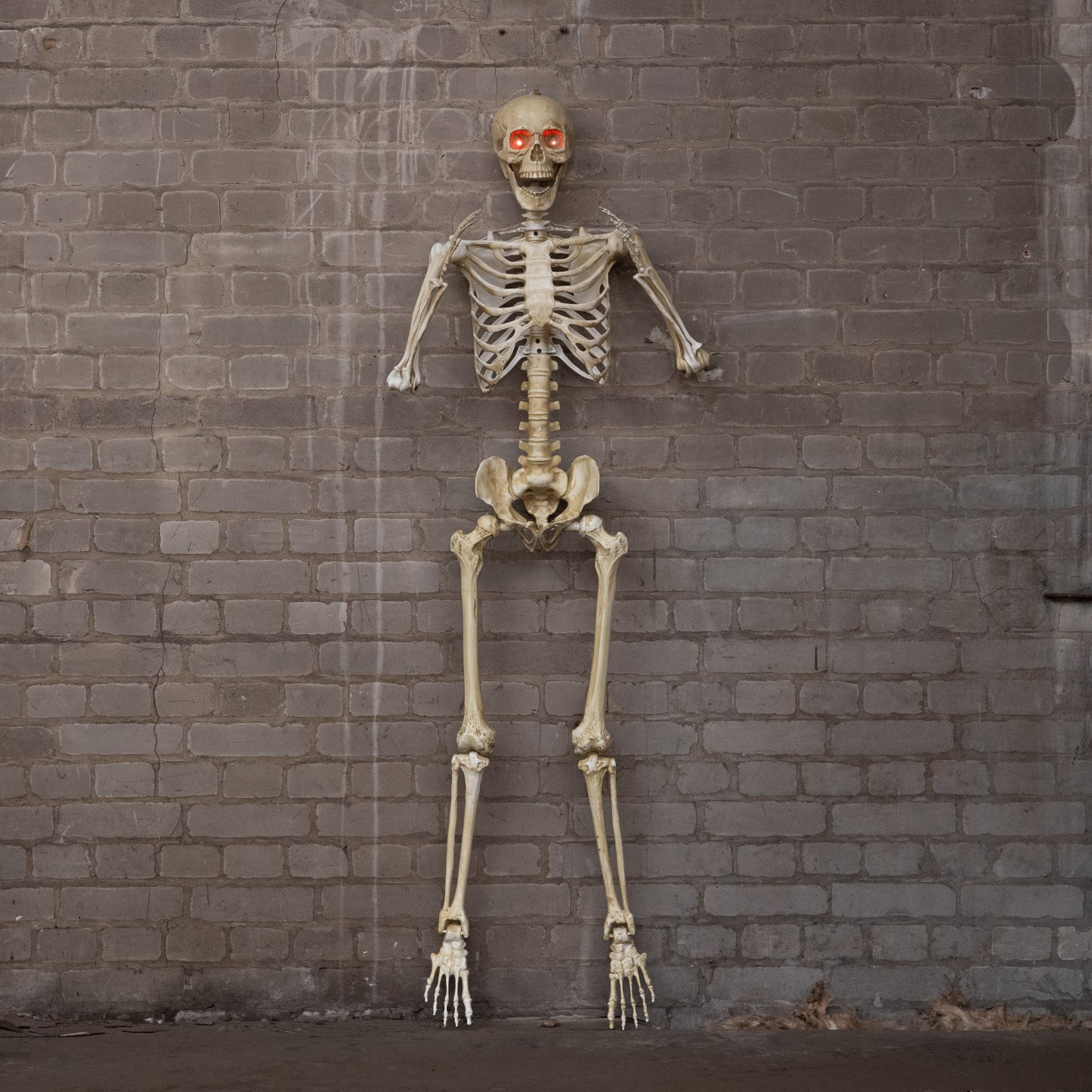 5ft (1.5m) Battery Powered Light up Halloween Skeleton with Poseable Joints & Red LEDs
