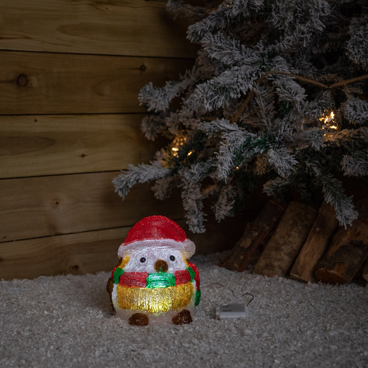 19cm Light Up Acrylic Christmas Santa Robin Decoration with White LEDs