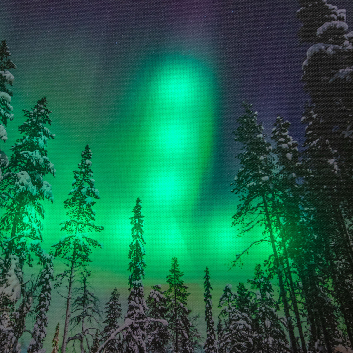 40 x 30cm Battery Powered Light Up Christmas Wall Art Aurora Canvas