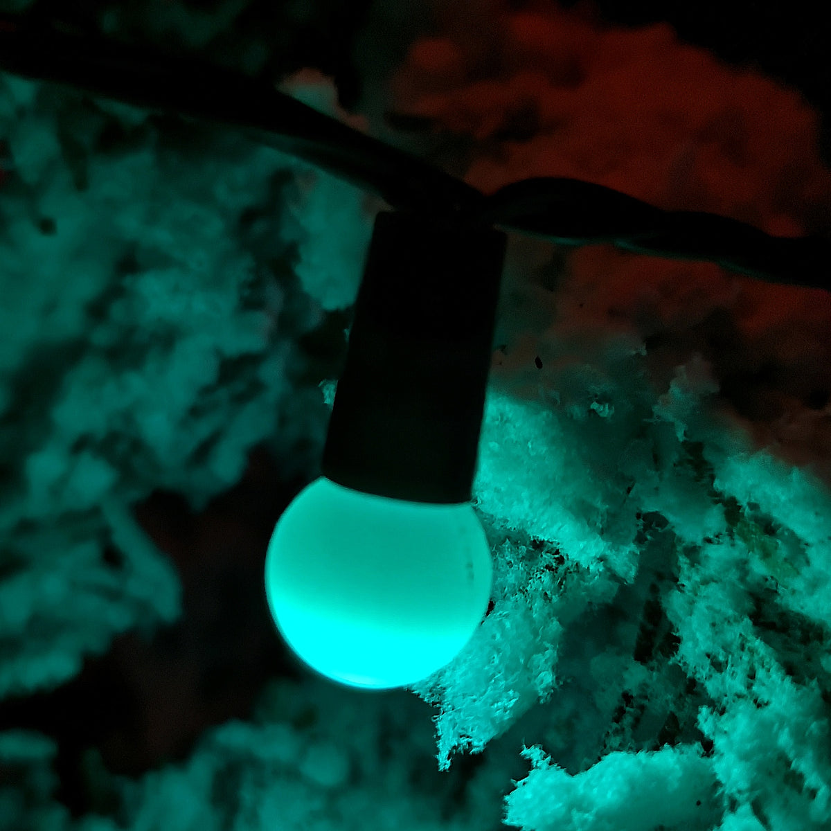 50 LED Pearl Berry Multi-Action Christmas String Lights in Rainbow