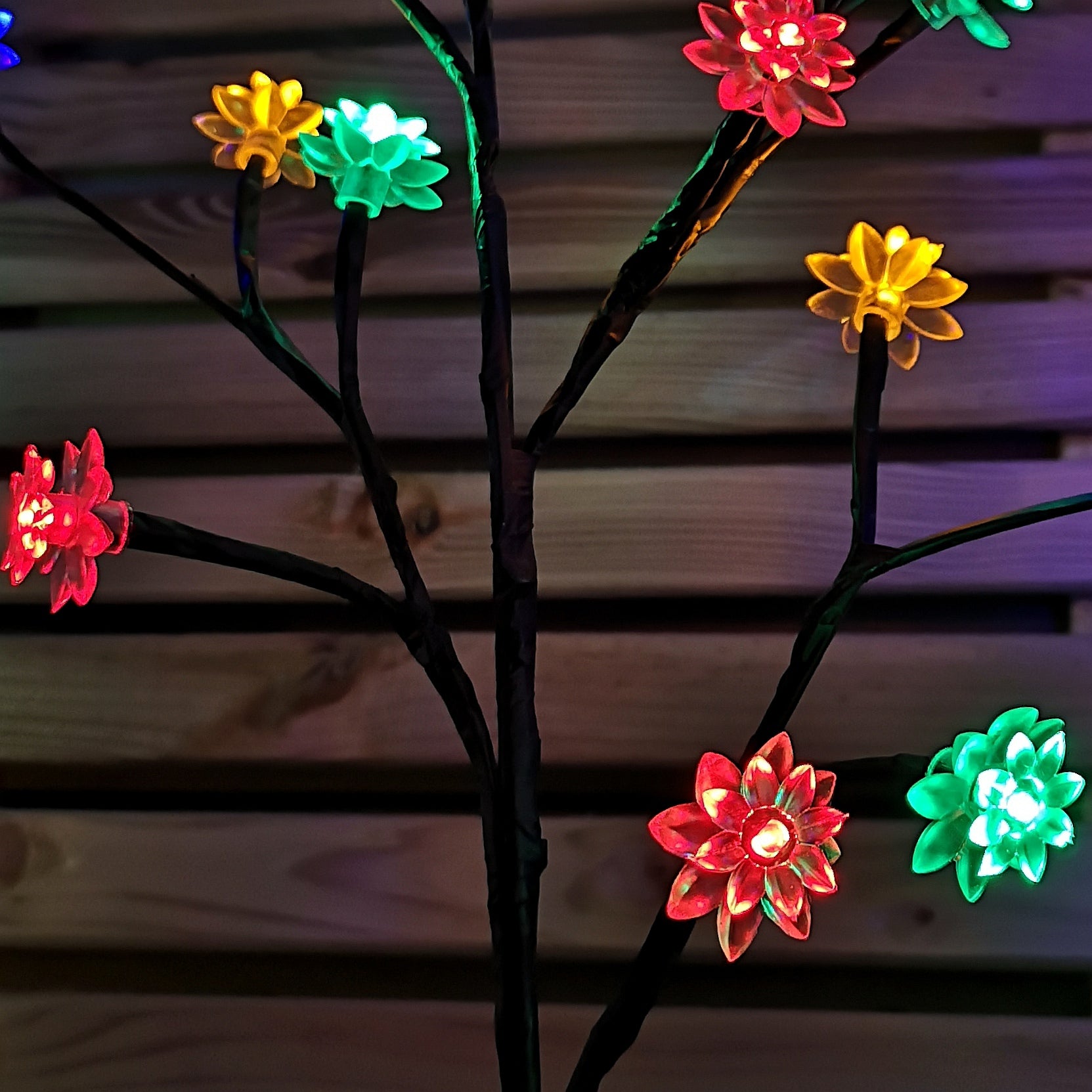 Set of 4 60cm Light up Lotus Christmas Path Lights with 64 Multi-Coloured LEDs