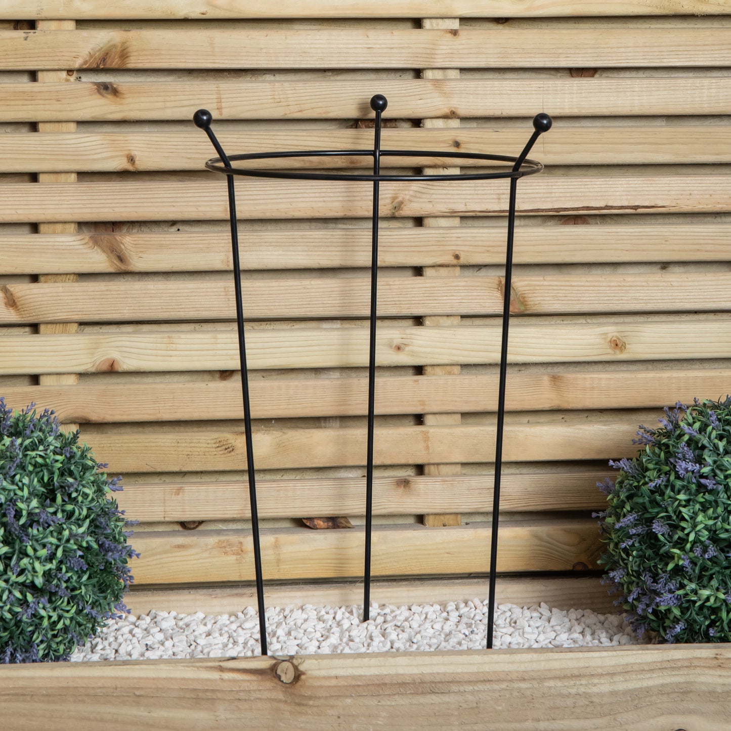 Small 60cm x 35cm Heavy Duty Black Steel Herbaceous Garden Plant Support Ring