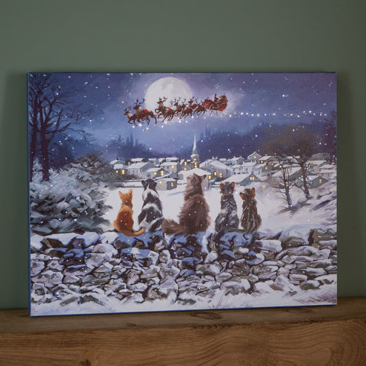 40 x 30cm Touch Operated Fibre Optic Christmas Wall Art Canvas with Cat Scene