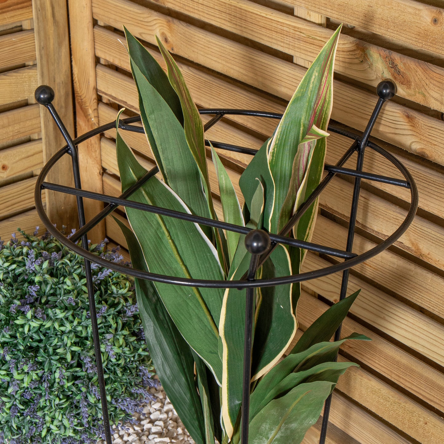 Tom Chambers Heavy Duty Black Metal Steel Garden Plant Support Grow Through - 60cm x 35cm