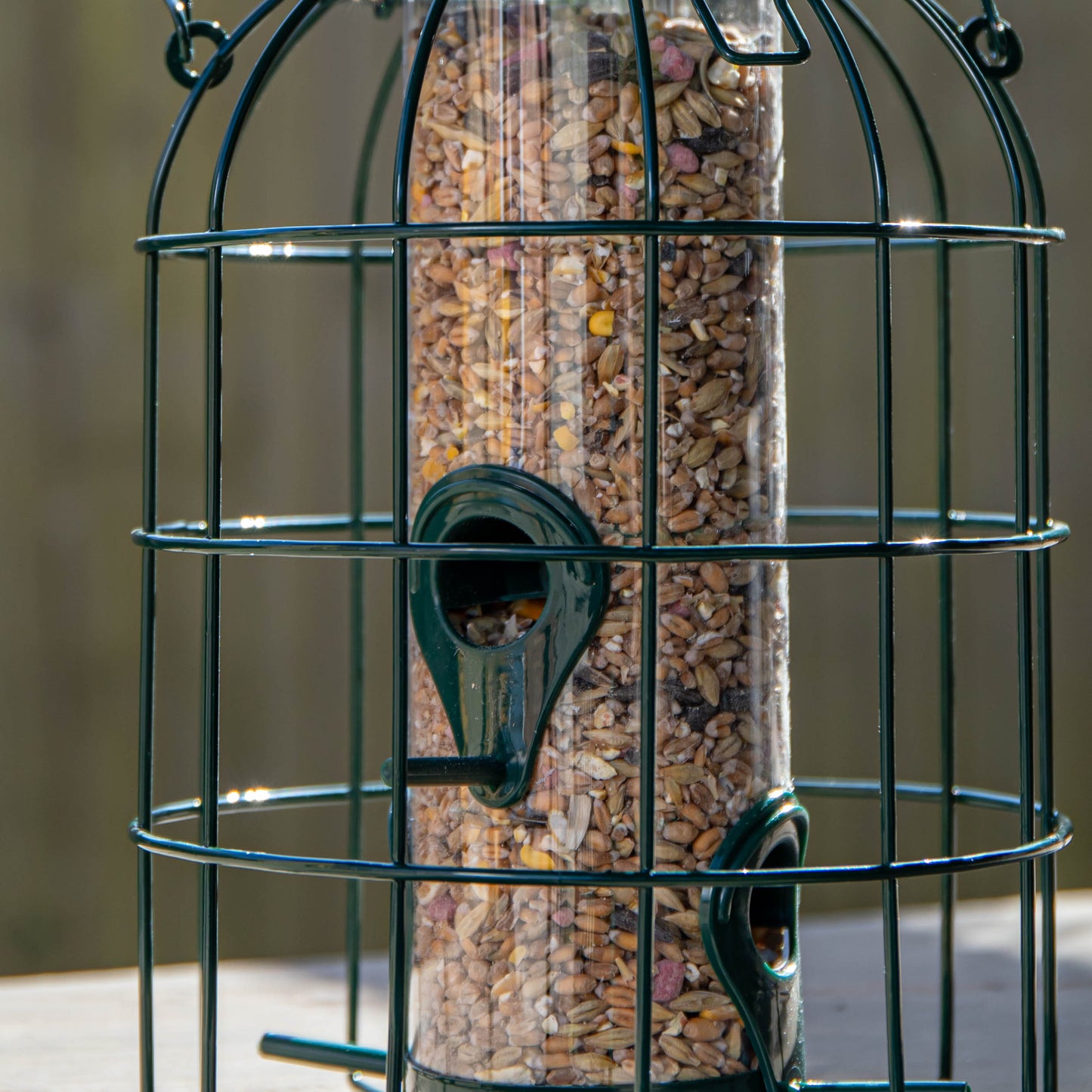 Factory Seconds: Samuel Alexander Metal Hanging Bird Seed Feeder with Squirrel Guard