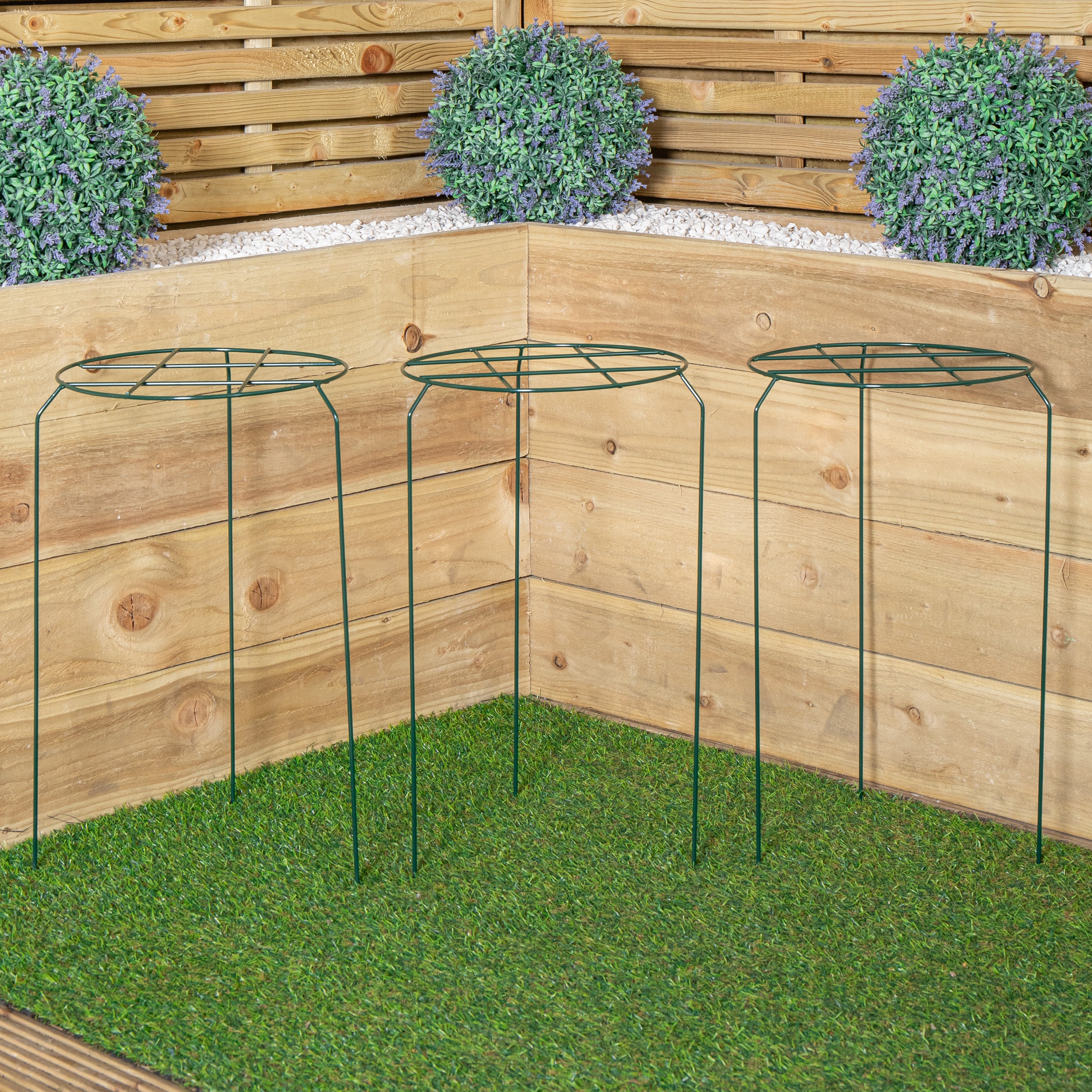 Pack of 3 Tom Chambers Urban Dark Green Metal Herbaceous Garden Plant Support Grow Through Medium 50cm x 30cm