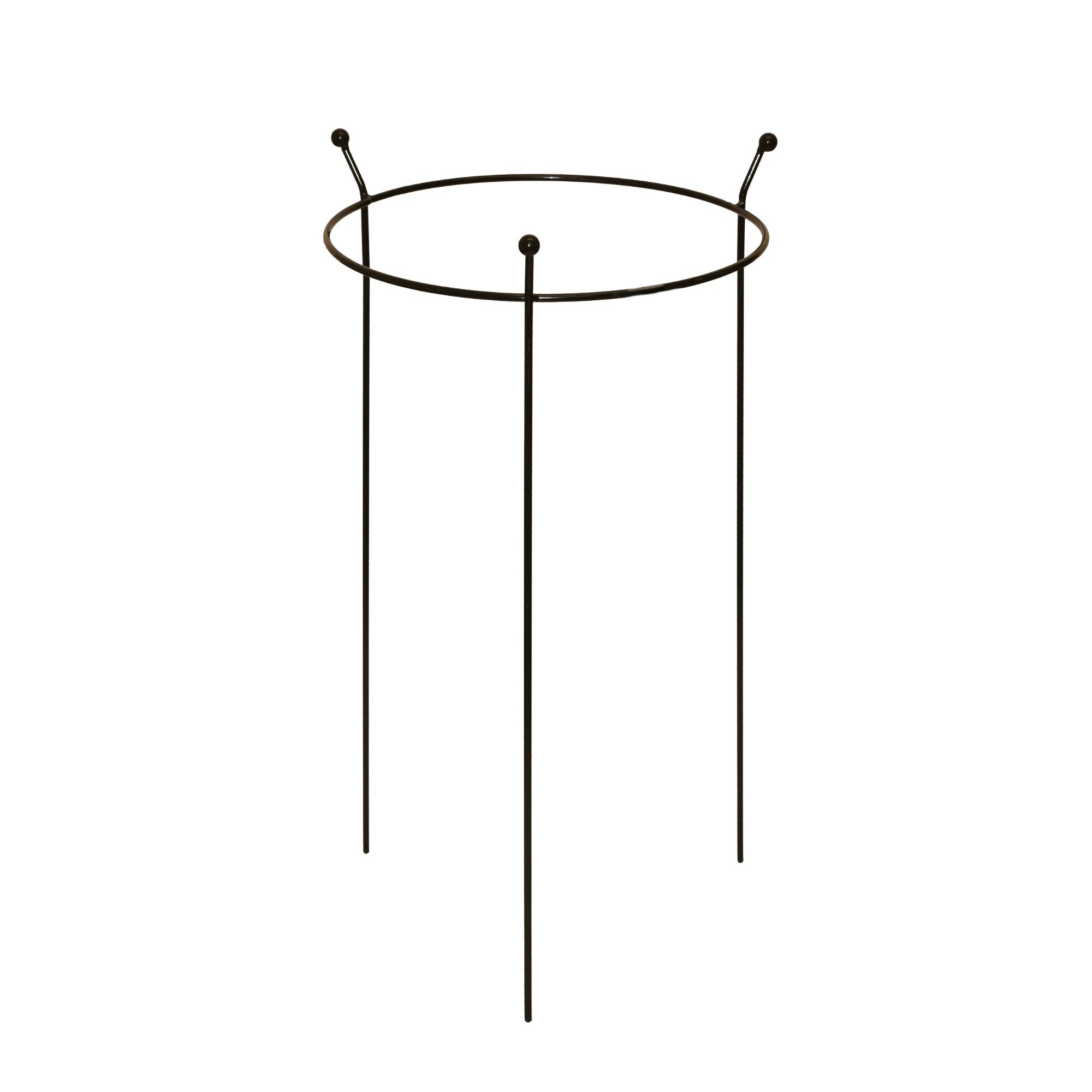 Small 60cm x 35cm Heavy Duty Black Steel Herbaceous Garden Plant Support Ring